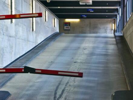 廣州進出口許可證辦理